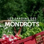 Jardin-de-mondrots-charli-et-sezam